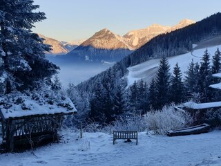 Bank Panorama