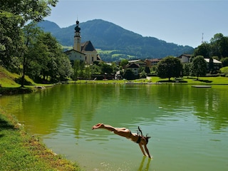 Reither See schwimmen