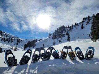 Ferienwohnung Pirhofer_ Alpachtal_Schneeschuhe