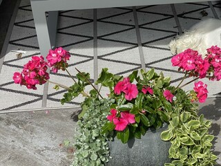 Ferienwohnung_Kramsach_ Hundefreude