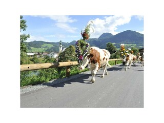 Almabtrieb Reith im Alpbachtal Tirol (52)