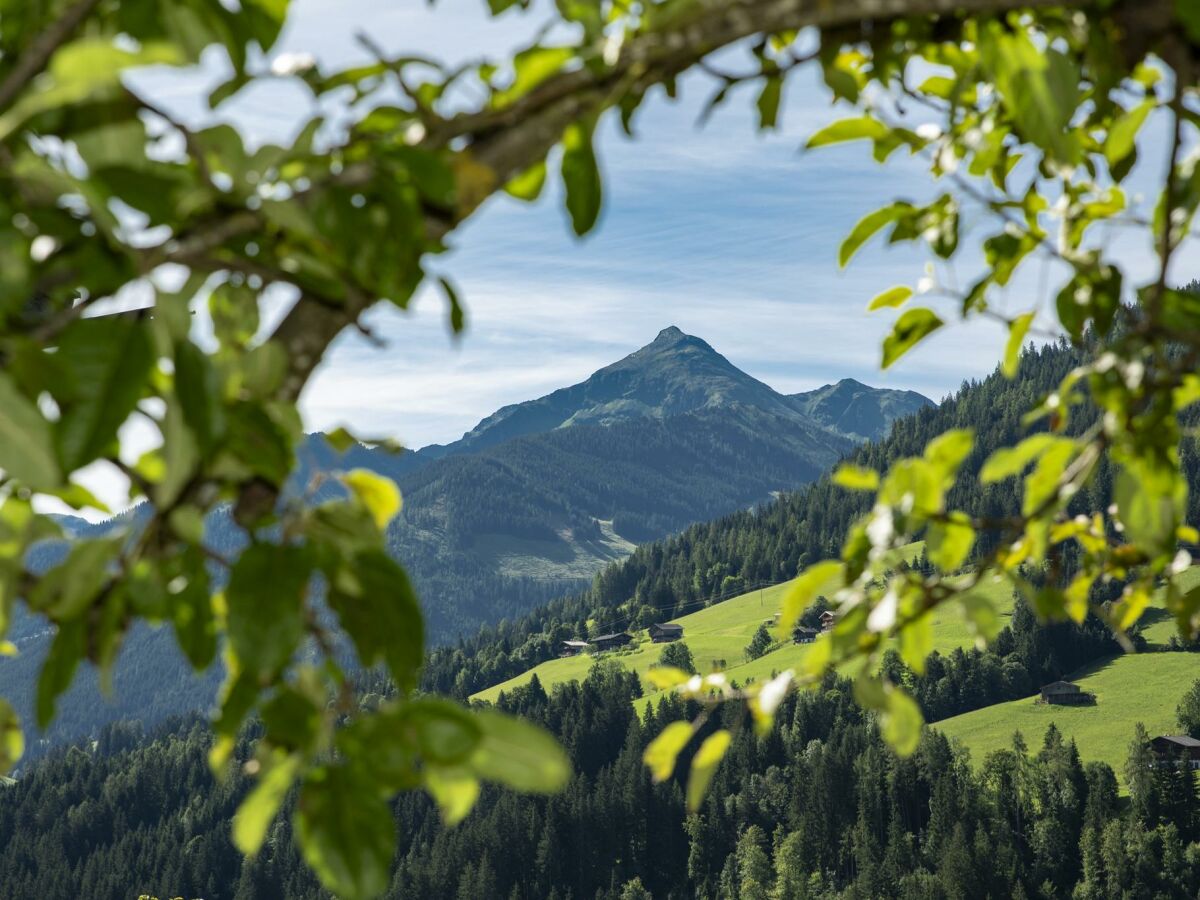 Aussicht vom Haus