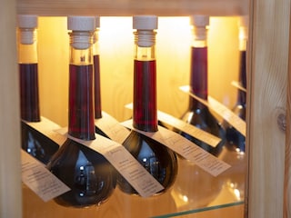 Natural Deluxe Apartments Alpbach_85