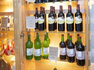 Natural Deluxe Apartments Alpbach_89