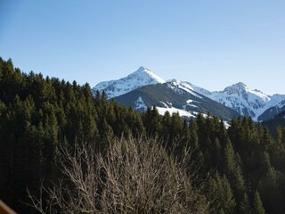 Natural_ Deluxe_Apartment_Alpbach_Ausblick