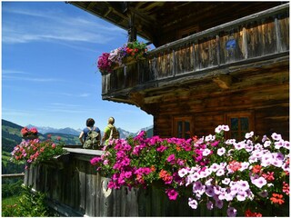 Bauernhof Außerrossmoos Alpbach_Wandern_Sommer_Alp