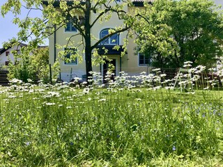 Alpbachtal Villa Riedhart Garten 05