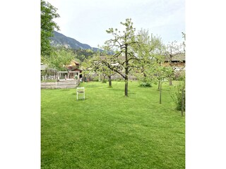 Alpbachtal Villa Riedhart Garten 06