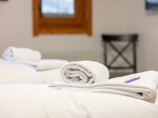 NSTE-Alpbach44-Alpbach-Kastl1-13