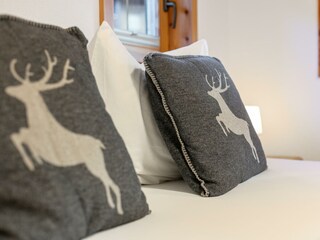 NSTE-Alpbach44-Alpbach-Kastl1-12