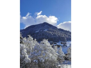 alpbachloft_alpbachtal_aussichtloipenbrücke