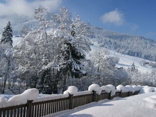 alpbachloft_alpbachtal_annasgartenimwinter