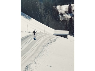 alpbachloft_alpbachtal_gabrielaufderloipe