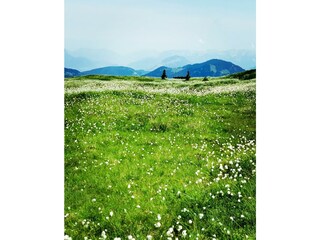 alpbachloft_alpbachtal_wandernzurjoelspitze