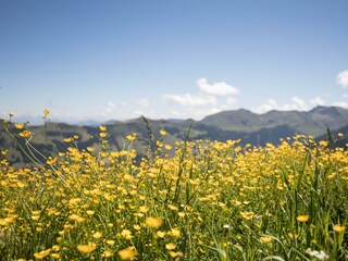 alpbachloft_alpbachtal_bergaussicht