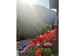 alpbachloft_alpbachtal_annasbalkonblumen