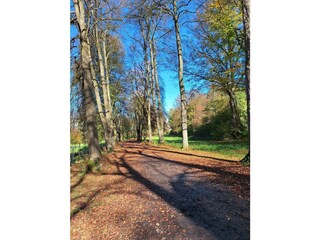 Steffi_Alpbachtal_Brixlegg_Herbst