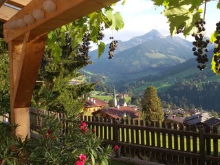 Moaeben Alpbach Dorfblick im Herbst Trauben