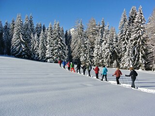 Schneeschuhwanderung Reitherkogel