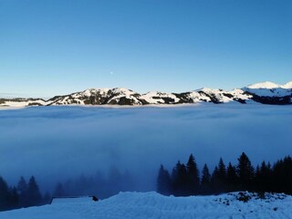 Riverside_Alpbachtal_Morgenstund