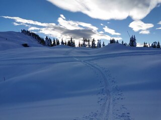 Riverside_Alpbachtal_Skitourenwanderung