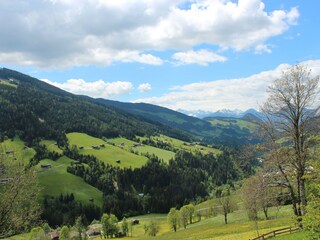 IMG_8460