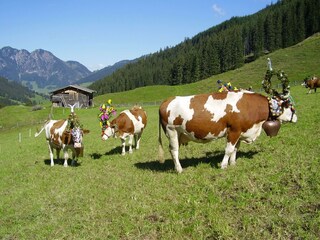 Almabtrieb