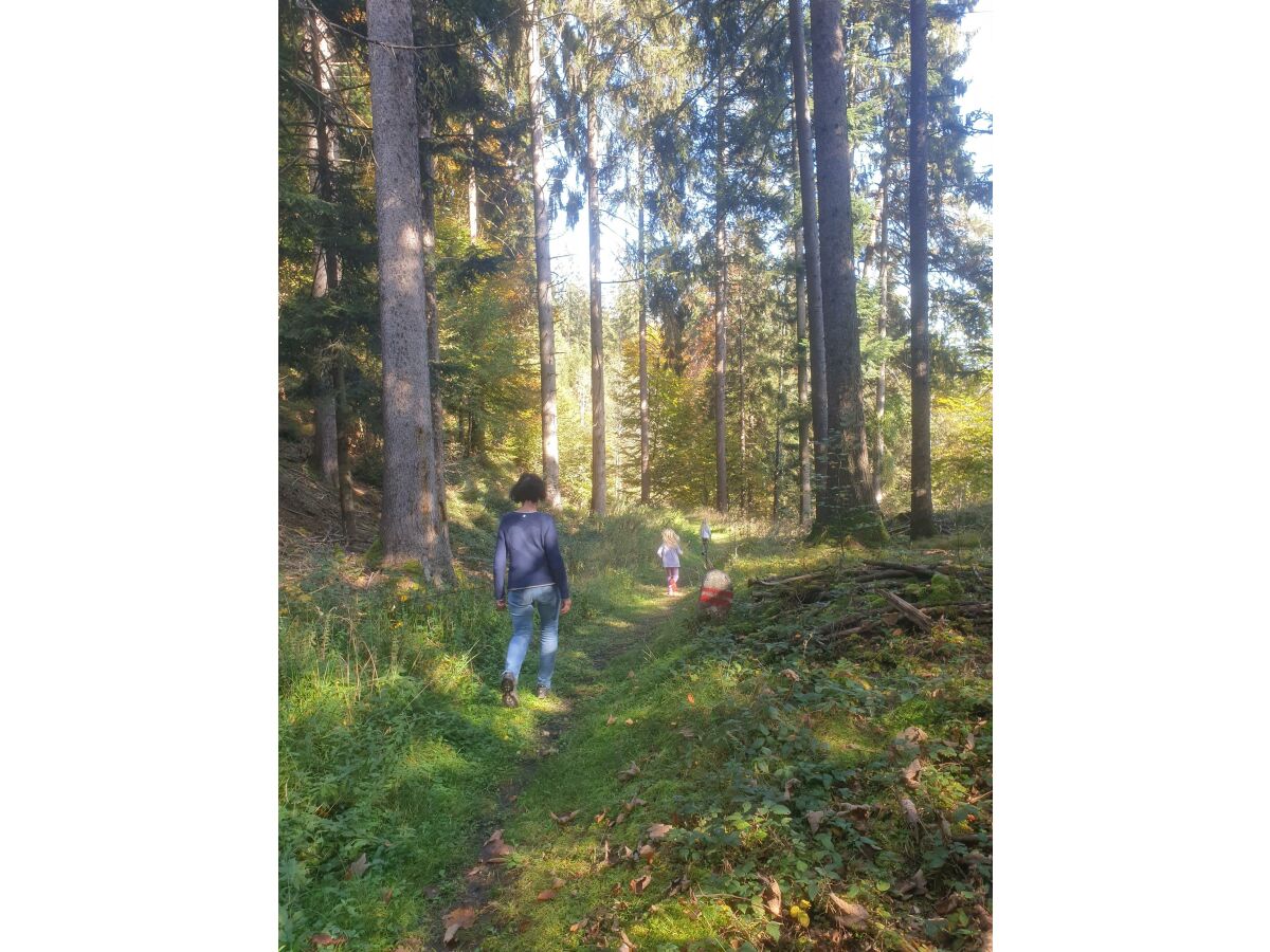 Haus Soboll_Alpbachtal_Kramsach_Waldspaziergang