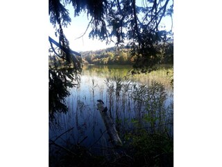 IMG-20220621-WA0032