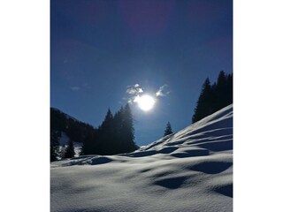 Ferienwohnung Pirhofer_ Alpachtal_Winterwonderland