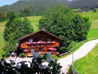Hütte mitten in der Natur