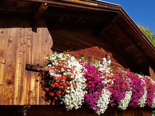 Gittis Blumenschmuck