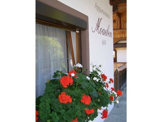 Moaeben Albpach Blumen vorm Haus