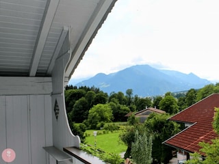 Ferienwohnung-Rosa-Muenster-Alpbachtal-Balkonblick