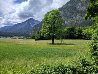 Münster-Sommer