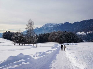 Winterspaziergang in Breitenbach_Alpbachtal Touris