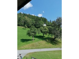 Riedhof_Brandenberg_Alpbachtal_WK_Balkon _Aussicht