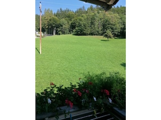 Riedhof_Brandenberg_Alpbachtal_WK_Aussicht