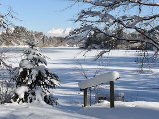 Reintaler See im Winter
