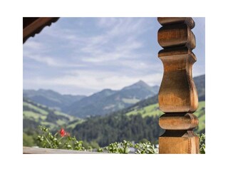 Ausblick im Sommer vom Balkon