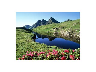sommerurlaub-in-tirol-alpbach-11_01