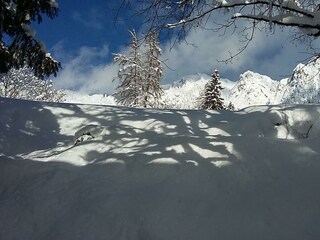 Winterbild Hansler Appartements