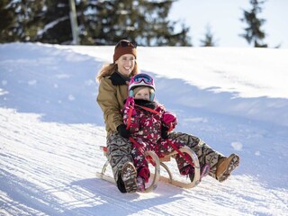 Rodeltour am Reither Kogel_Alpbachtal Tourismus_sh