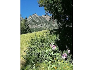 Hansler Appartements - Garten