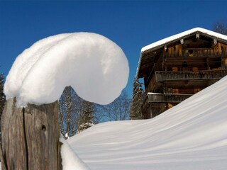 AlpbachtalTourismus_730083