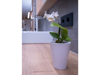 Bad 1 Apartment Schatzberg