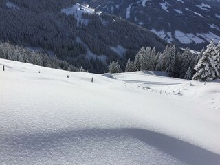 12487185_1000560569983442_4760970733618414132_o