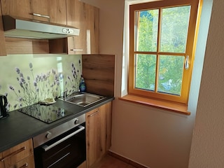 brandterhof_brandenberg_alpbachtal_eingang_k_che_b