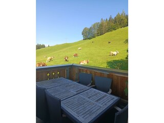 Brandterhof_Brandenberg_Alpbachtal_Terrasse mit Be