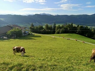 Brandterhof_Brandenberg_Alpbachtal_Blick Alpbachta
